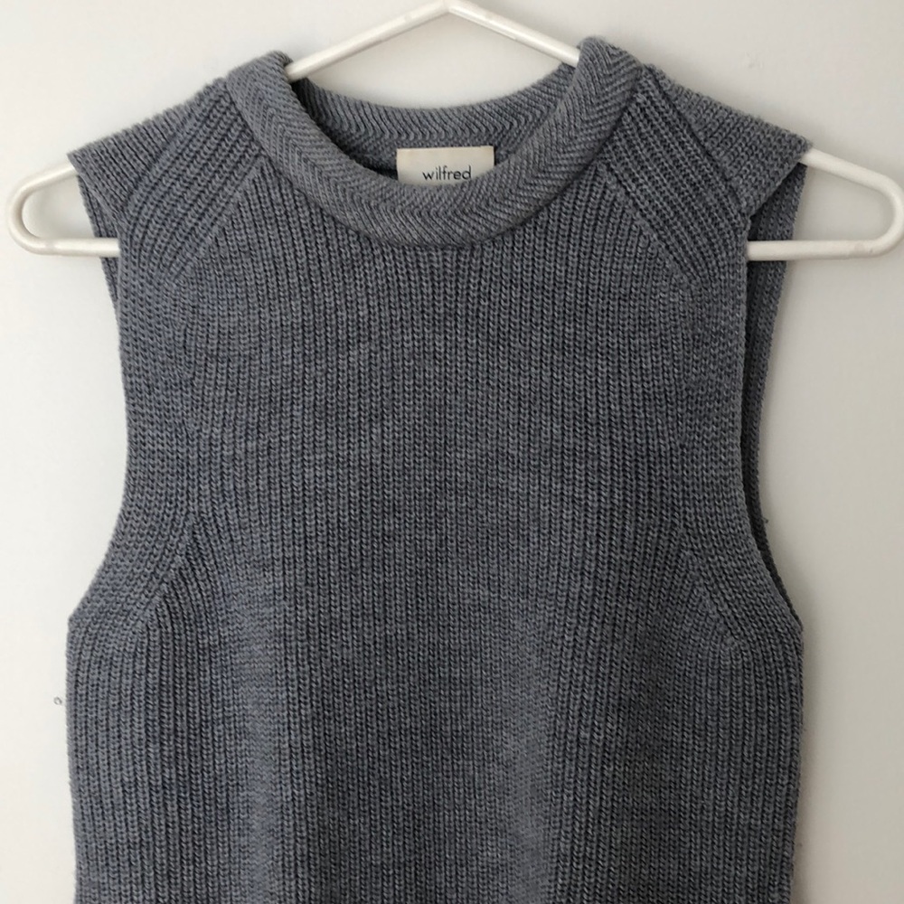 Aritzia Sleeveless tunic sweater